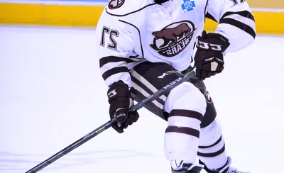 Hershey Bears