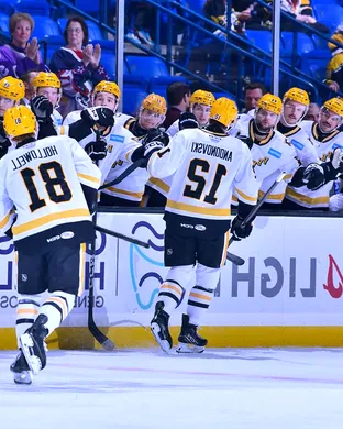 Wilkes-Barre Scranton Penguins